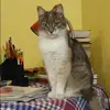 Отзыв от Лена Грачева